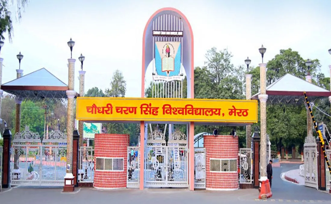 CCSU Result 2025-26 Out @ccsuniversity.ac.in, Check Meerut University Result Here