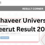 Mahaveer University Meerut Result 2026