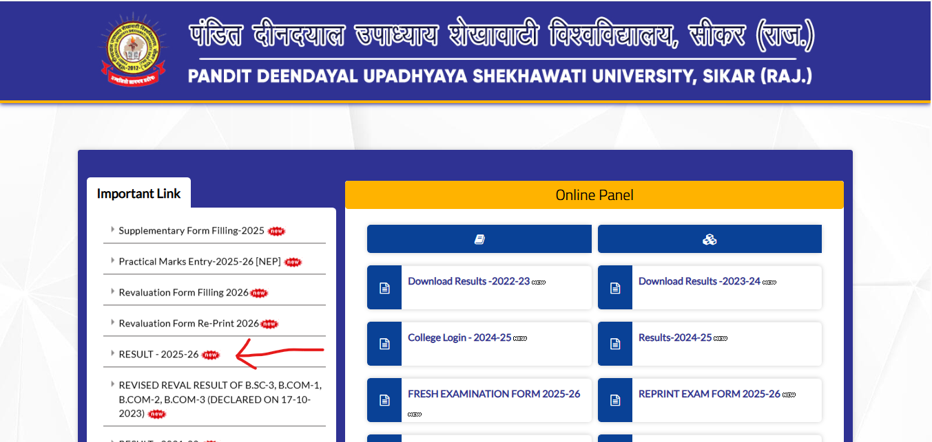 PDUSU Result